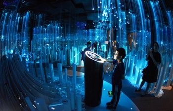 Exhibition Featuring Digital Ar